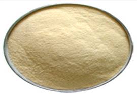 Dehydrated Garlic Powder Manufacturer Supplier Wholesale Exporter Importer Buyer Trader Retailer in Mahuva Gujarat India